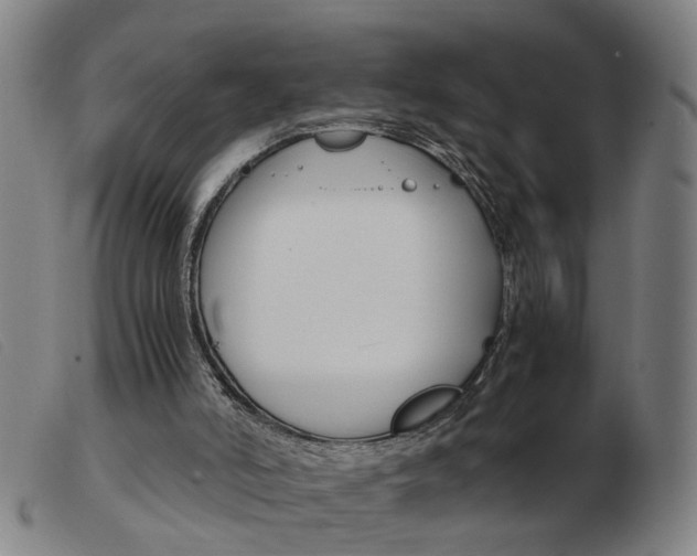 X0000103960006200809191345