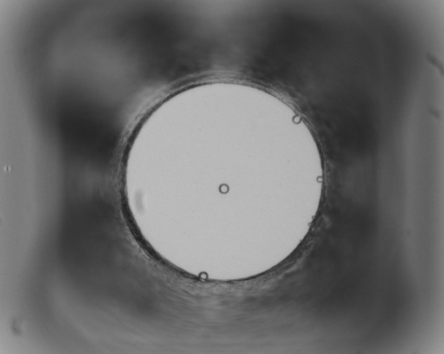 X0000103960007200809191345