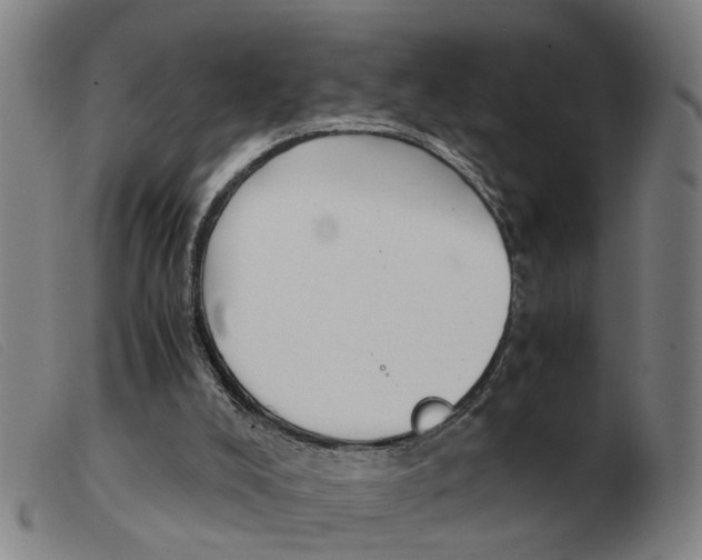 X0000103960008200809191345