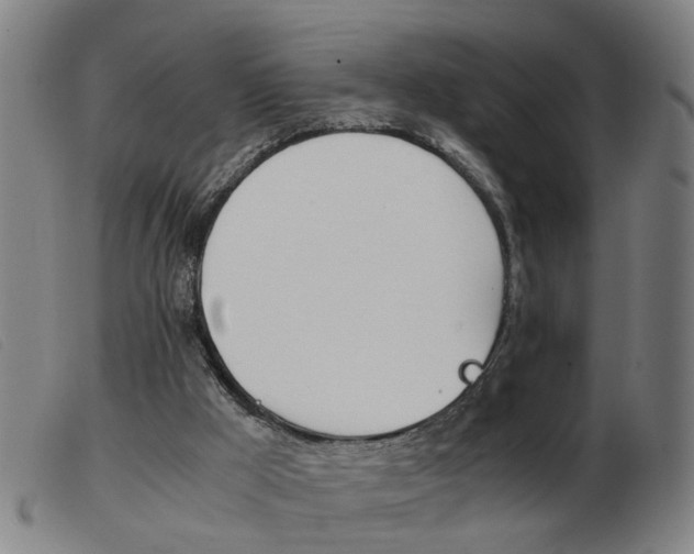 X0000103960009200809191345