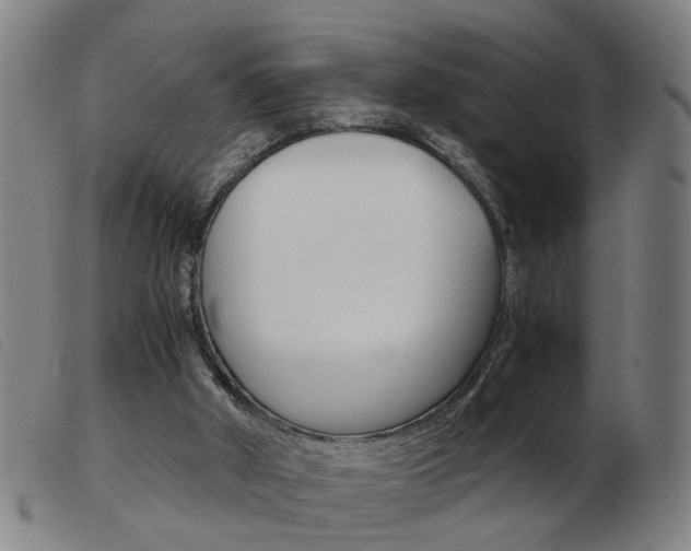 X0000103960010200809191345