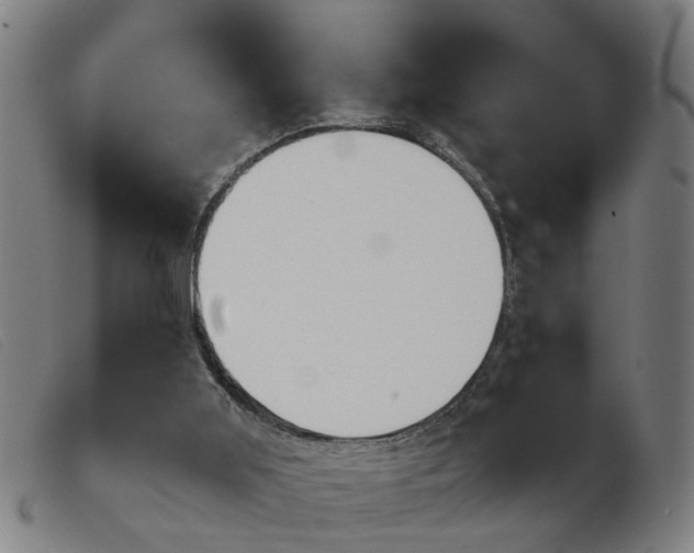 X0000103960011200809191345