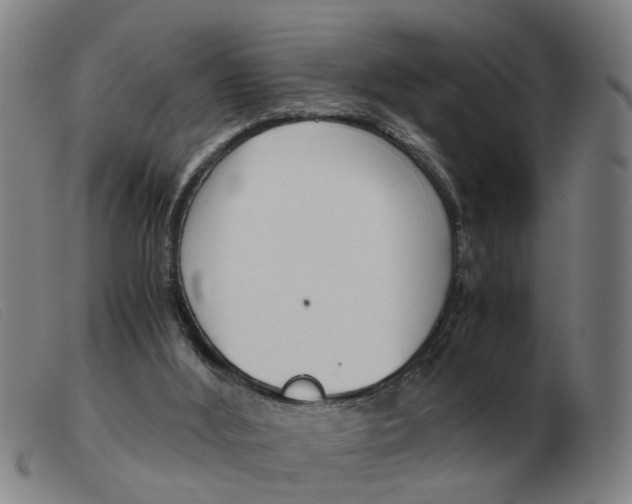X0000103960012200809191345