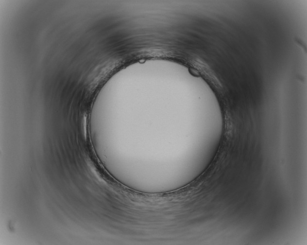 X0000103960014200809191345