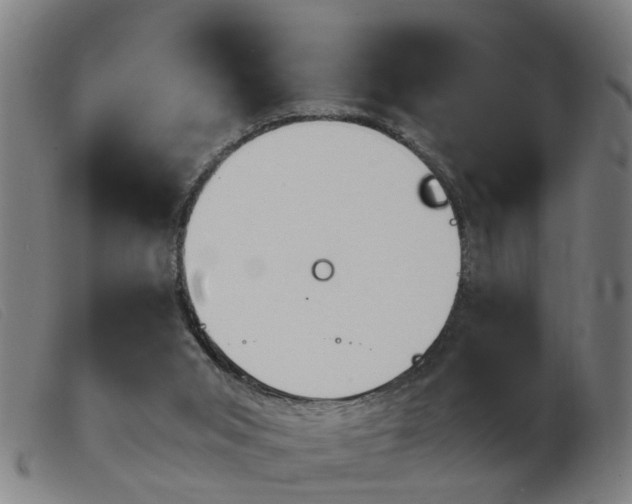X0000103960015200809191345