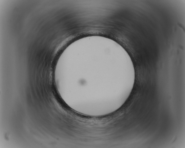 X0000103960016200809191345