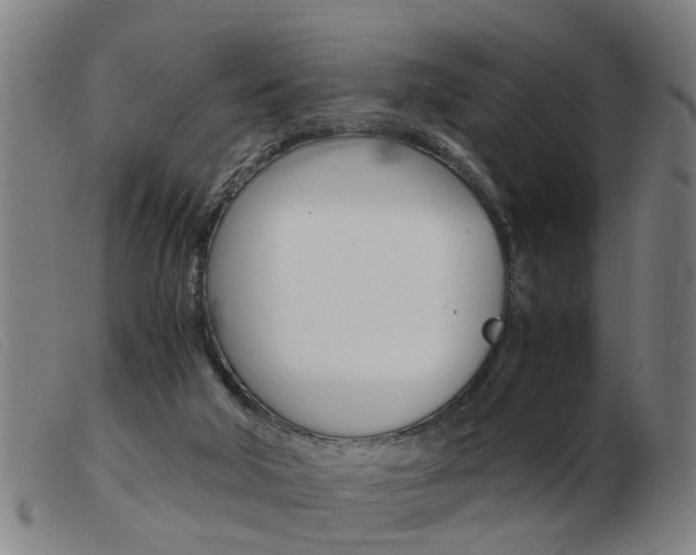 X0000103960018200809191345