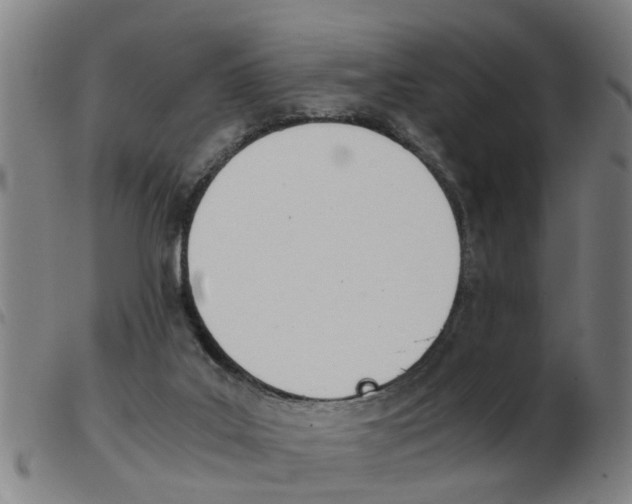 X0000103960019200809191345
