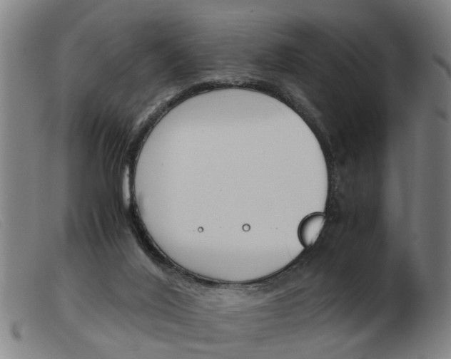 X0000103960020200809191345