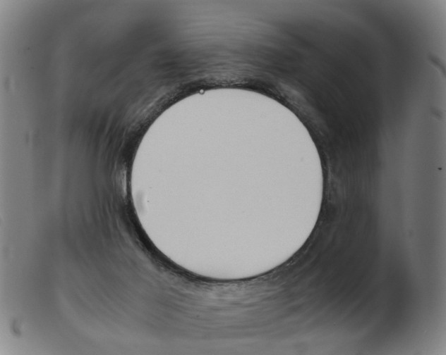 X0000103960021200809191345
