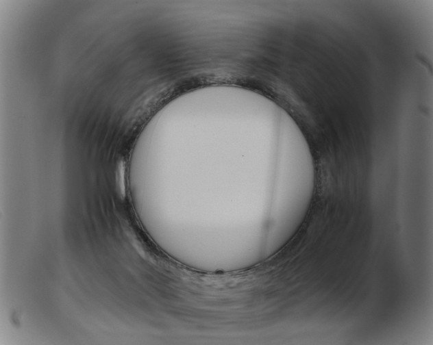X0000103960022200809191345