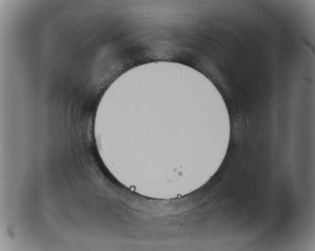 X0000103960023200809191345