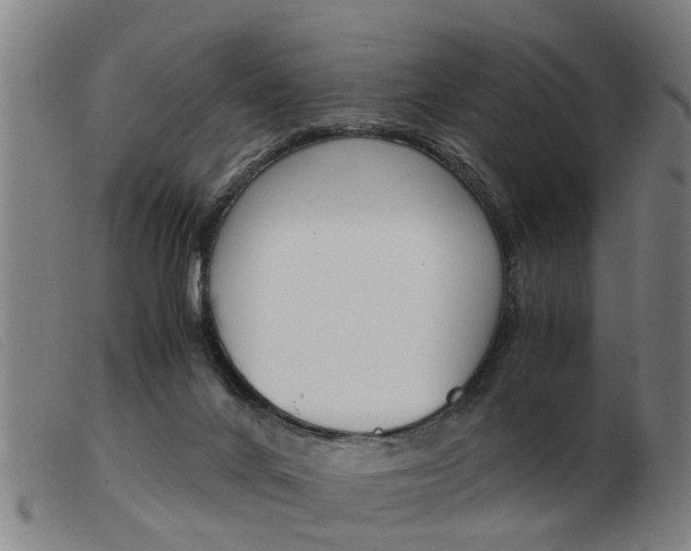 X0000103960024200809191345