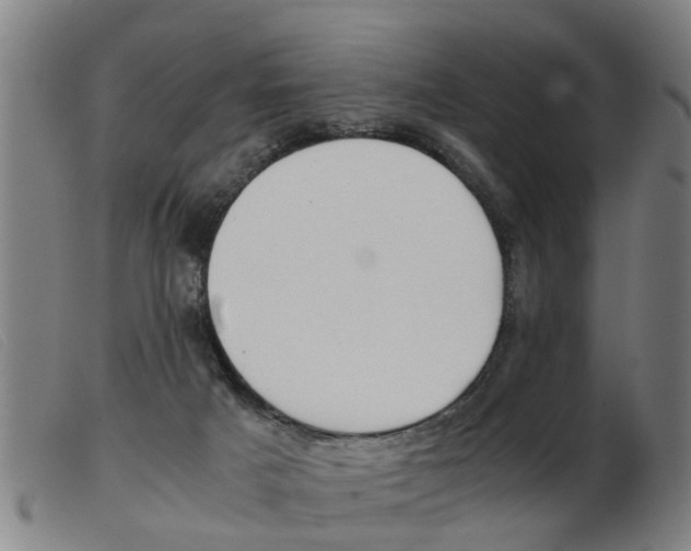 X0000103960025200809191345