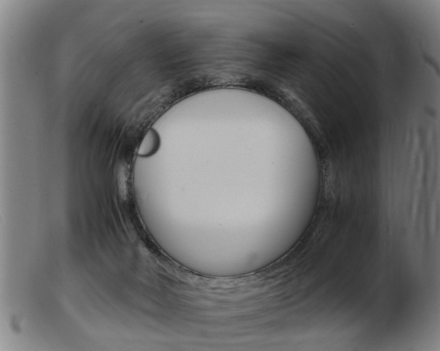 X0000103960026200809191345