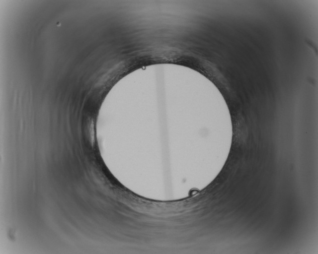 X0000103960027200809191345