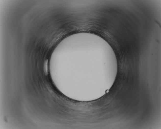 X0000103960028200809191345