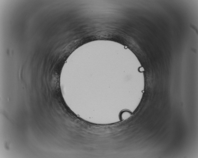 X0000103960029200809191345