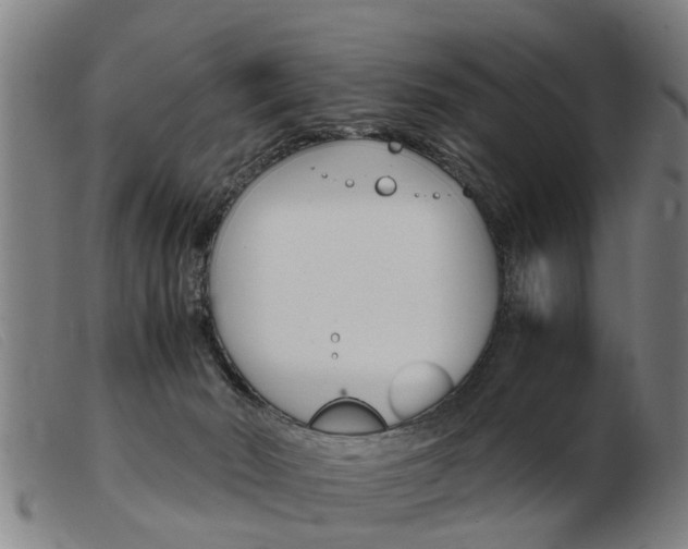 X0000103960030200809191345