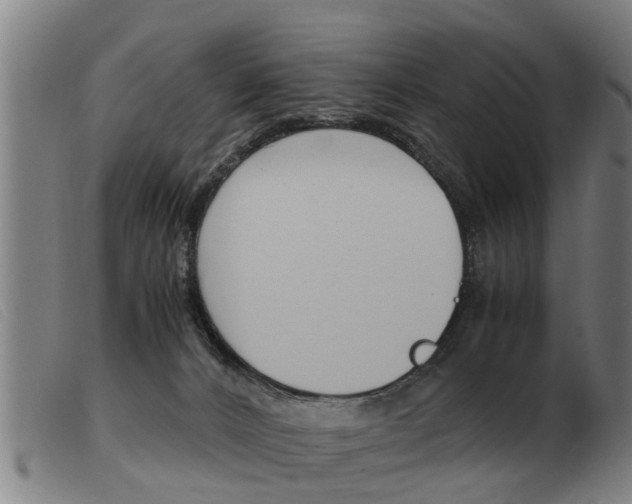 X0000103960032200809191345