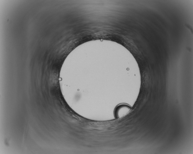 X0000103960033200809191345