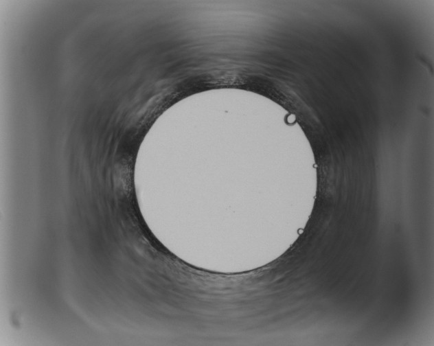 X0000103960035200809191345