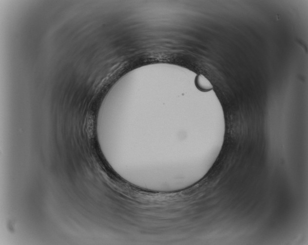 X0000103960036200809191345