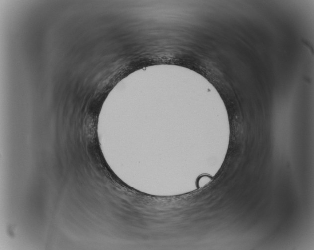X0000103960037200809191345