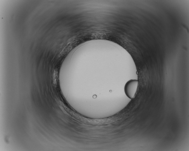 X0000103960038200809191345
