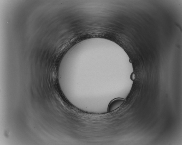 X0000103960040200809191345