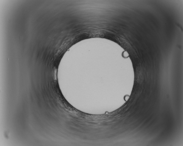 X0000103960041200809191345