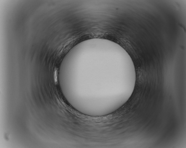 X0000103960042200809191345