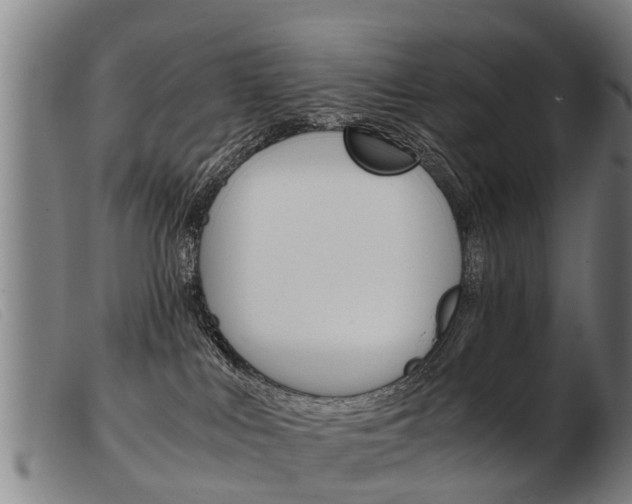 X0000103960043200809191345