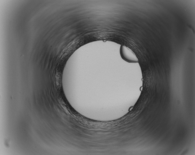 X0000103960044200809191345