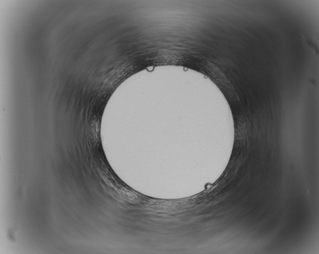 X0000103960045200809191345