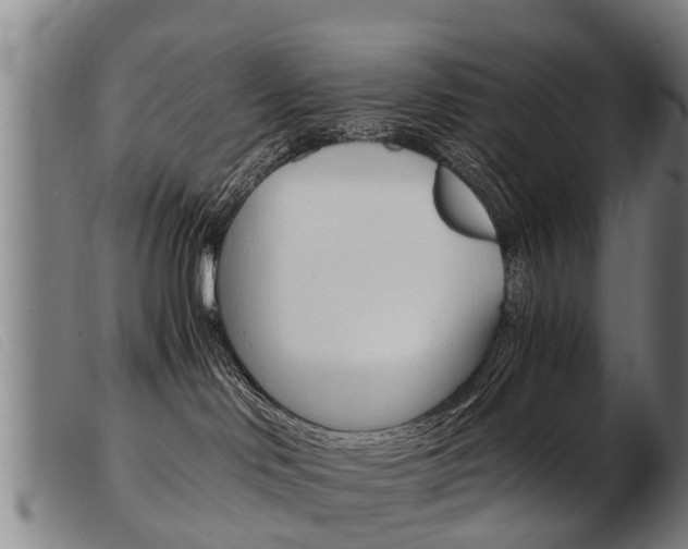 X0000103960046200809191345
