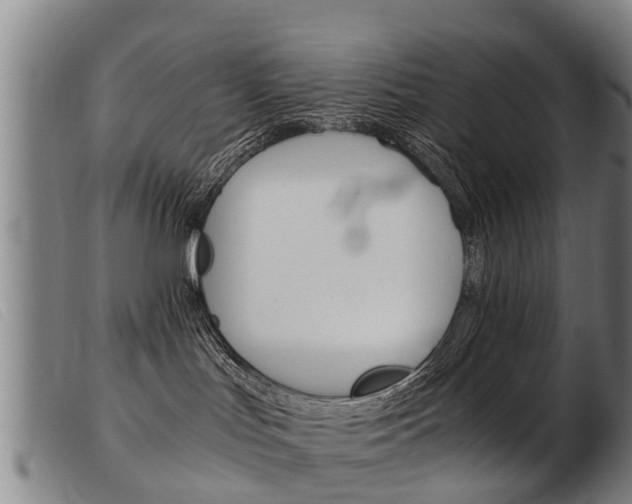 X0000103960047200809191345