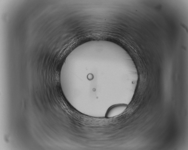 X0000103960048200809191345