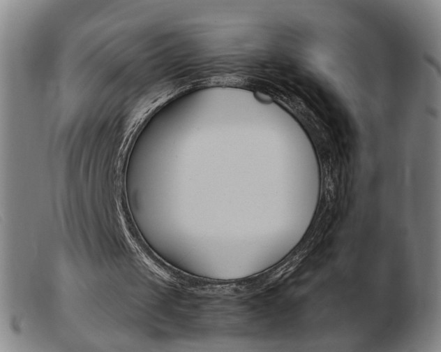 X0000103960049200809191344