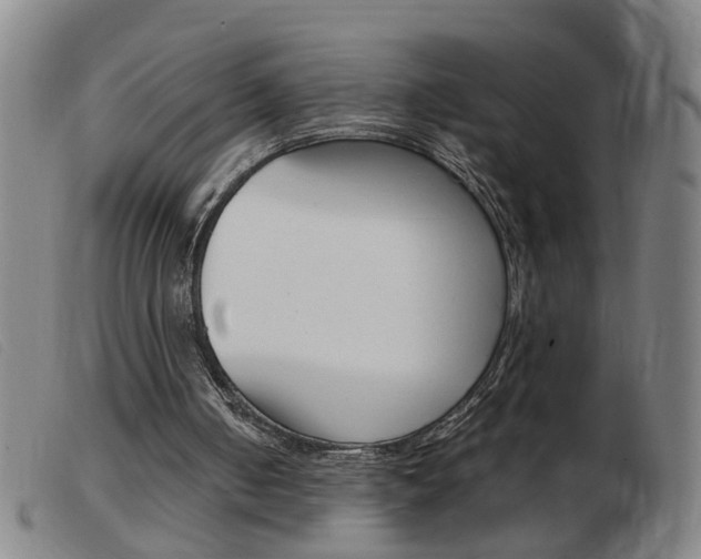 X0000103960050200809191344