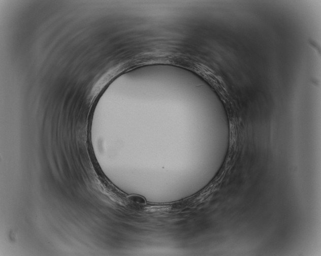 X0000103960051200809191344