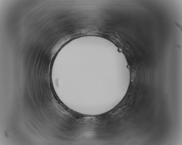 X0000103960052200809191344