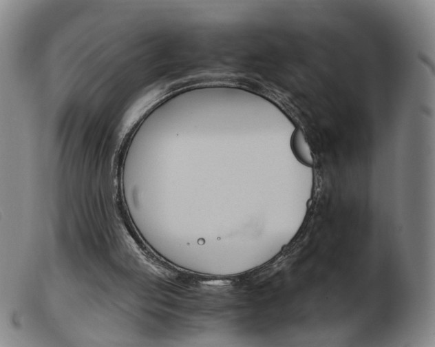 X0000103960053200809191344