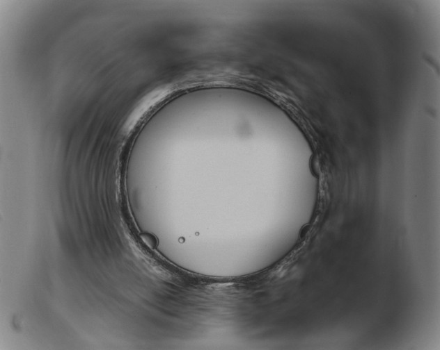 X0000103960054200809191344