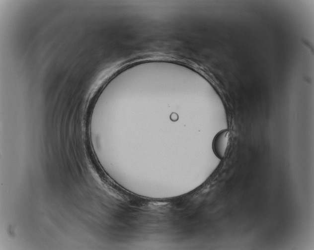 X0000103960055200809191344