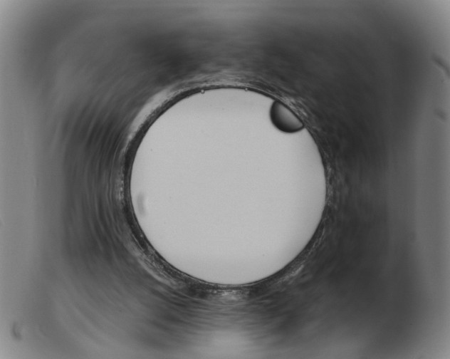 X0000103960056200809191344