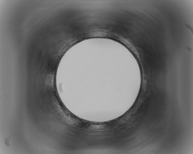 X0000103960057200809191344