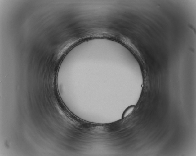 X0000103960058200809191344