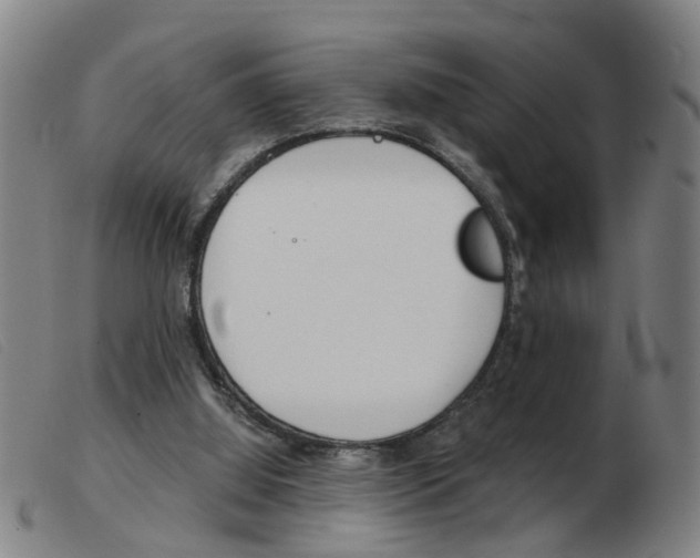 X0000103960060200809191344