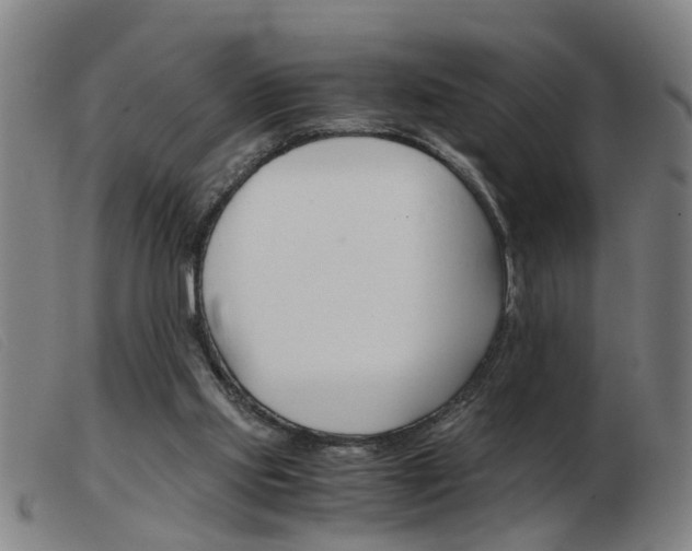 X0000103960061200809191344